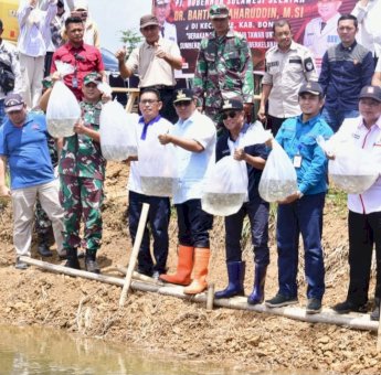 Tingkatkan Ketahanan Pangan, 50 Ribu Benih Nila Dilepas di Embung Kabupaten Bone