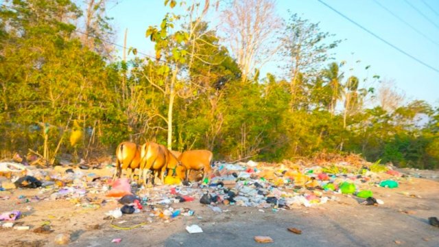 Salah satu titik pembuangan sampah yang tidak mendapat perhatian dari Pemerintah Kabupaten Buton Tengah, di Kelurahan Watolo, Kecamatan Mawasangka. (Istimewa)