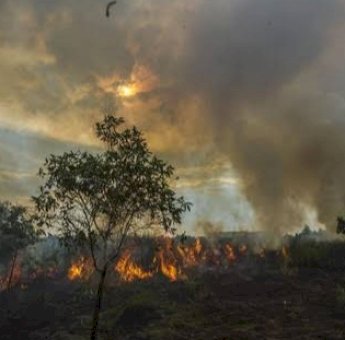 Ketua DPRD Joni Ingatkan Masyarakat Tentang Ancaman Hukuman Karhutla