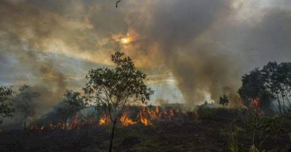 Ketua DPRD Joni Ingatkan Masyarakat Tentang Ancaman Hukuman Karhutla