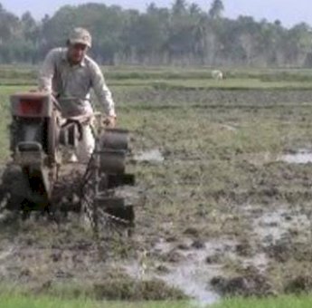 Desa Margahayu Kukar Manfaatkan Dana Desa untuk Penerangan dan Peningkatan Ekonomi Masyarakat