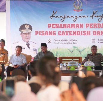Pj Gubernur Bahtiar Ajak Petani Desa Mattiro Walie Tingkatkan Kesejahteraan dengan Budidaya Pisang