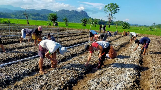 Upaya PLN UIP Sulawesi melakukan pembinaan kepada masyarakat di wilayah pembangunan infrastruktur dalam mendorong peningkatan ekonomi keluarga mendapat apresiasi berupa Penghargaan Platinum pada Penganugerahan ISDA 2023, di Jakarta, kemarin. (Dok. Humas PLN UIP Sulawesi)