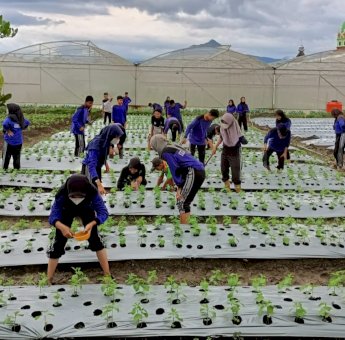 Pemuda Milenial: Penggerak Utama Pertanian di Kutai Kartanegara