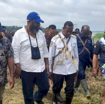 Apolo Safanpo Sebut Kawasan Sagu di Bade Dapat Dikembangkan Jadi Pusat Pertanian