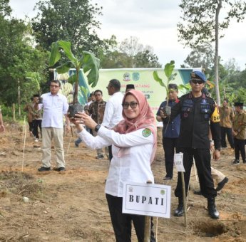 Bersama Pj. Gubernur Sulsel, Indah Tanam Perdana Pisang Cavendish