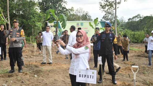 Bupati Luwu Utara Indah Putri Indriani menunjukkan bibit Pisang Cavendish dalam kegiatan tanam pisang bersama PJ Gubernur Sulsel di Luwu Utara. 