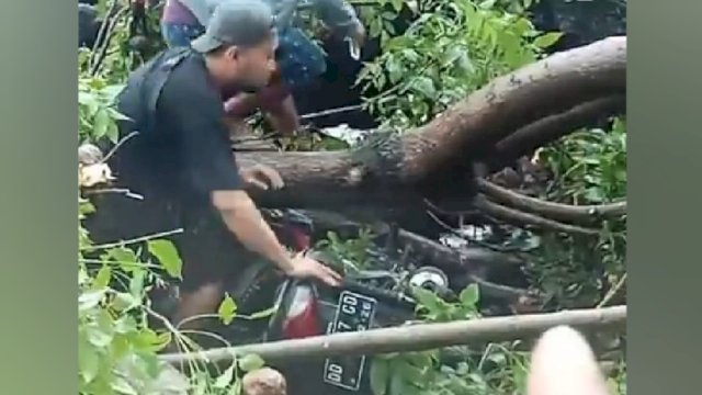 Petugas BPBD dan Anggota Satlantas Polres Jeneponto mengevakuasi korban pohon tumbang. (Istimewa)