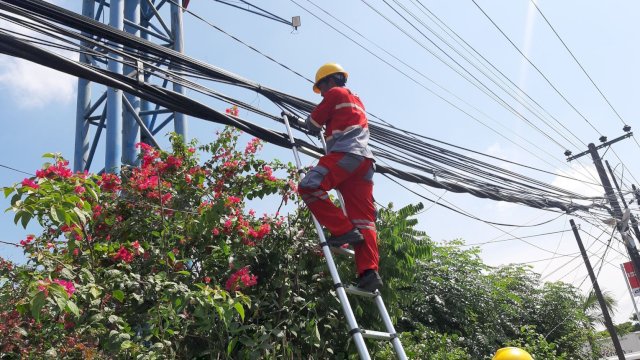 Petugas PLN membenahi jaringan Listrik. (Istimewa)