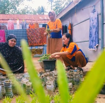 Warga Binaan Bersama Petugas Rutan Sengkang Panen Sayuran, Hasil Program Budidaya