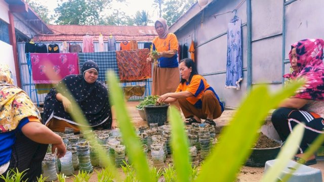 Warga binaan Rutan Sengkang saat melakukan Panen dari program Budidaya Kangkung, kemarin. (Dok. Humas Kanwil Kemenkumham Sulsel)