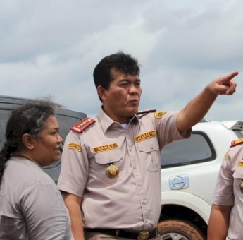 Food Estate Tebu di Merauke Datangkan Bibit dari Jawa dan Australia