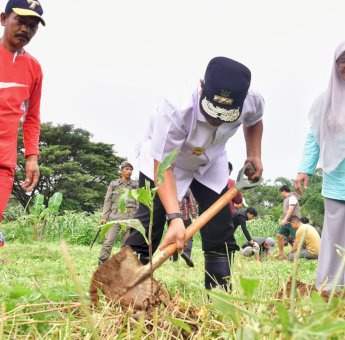 Olahraga di GOR Sudiang, Barisan Muda Putra Pongka Tanam Sukun Bersama Pj Gubernur Sulsel