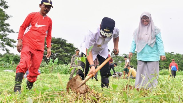 Pj Gubernur Sulsel Bahtiar Baharuddin, saat menanam pohon sukun di GOR Sudiang, Sabtu (20/01/2023). (Istimewa)