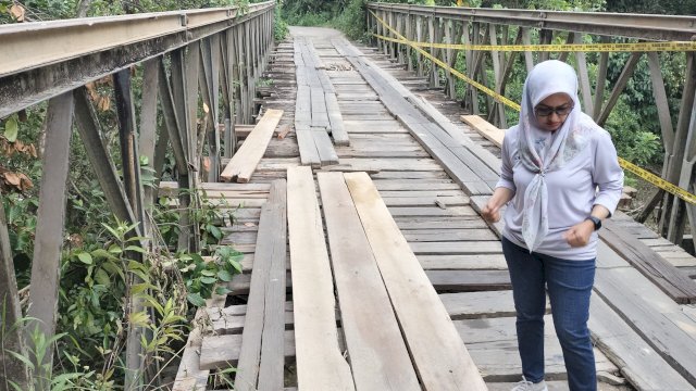 Bupati Luwu Utara Indah Putri Indriani saat meninjau kondisi jembatan salu Rongkong. Sabtu (27/01/2024). Foto/republiknews.co.id