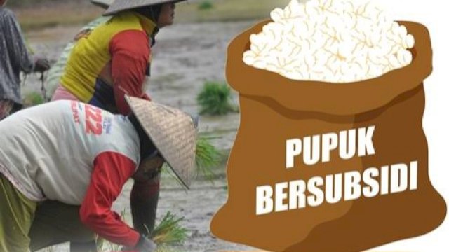 Ilustrasi Pupuk Bersubsidi. (Istimewa)