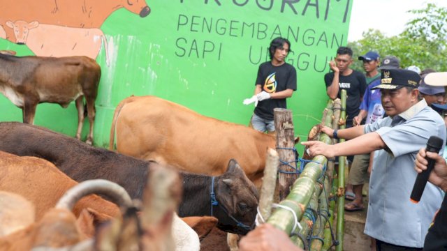 Pj Gubernur SulselBahtiar Baharuddin mengnjungi peternakan Sapi di Desa Palambarae, Kecamatan Gantarang, Kabupaten Bulukumba, Minggu (04/02/2024). (Istimewa)
