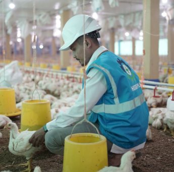 Gunakan Listrik PLN, Peternak di Gowa Mampu Hemat Sampai Puluhan Juta Rupiah