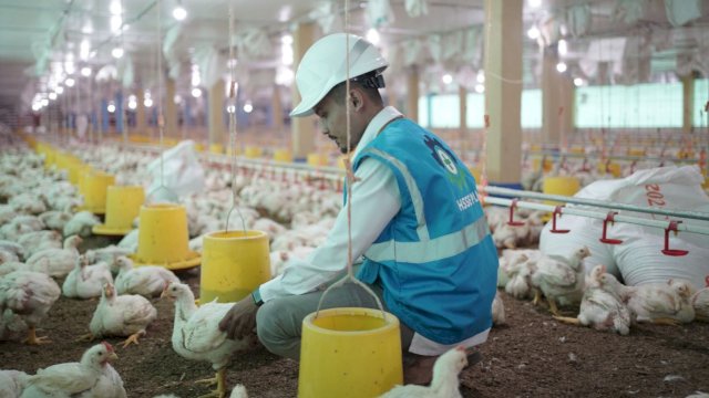 Petugas PLN tengah mengecek kWh listrik pelanggan peternakan ayam di Kabupaten Gowa, Sulawesi Selatan. (Istimewa)