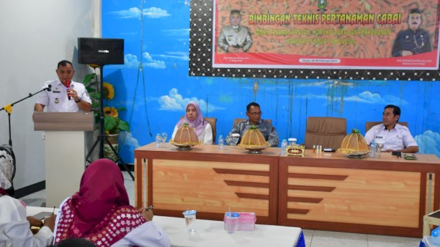 Pj Bupati Sinjai TR Fahsul Falah, saat memberikan sambutan di Bimtek Pertanaman Cabe. (Istimewa)