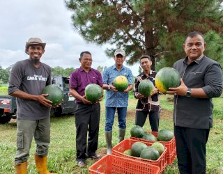 Fahsul Falah Ingin Buat Festival Buah Di Sinjai