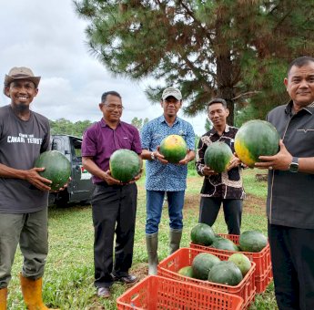 Fahsul Falah Ingin Buat Festival Buah Di Sinjai