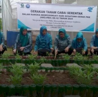 Dipimpin Iriani Jokowi, PKK Sinjai Ikuti Gertam Cabai Se Indonesia