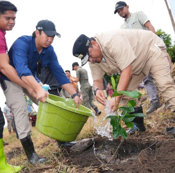 Dorong Skala Industri, Pj Gubernur Bahtiar Galakkan Penanaman 2 Juta Pohon Nangka Madu di Sulsel