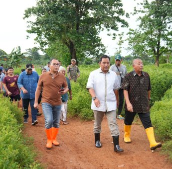 Pj Gubernur, Wali Kota Makassar dan Bupati Maros Kompak Tinjau Lahan Stadion