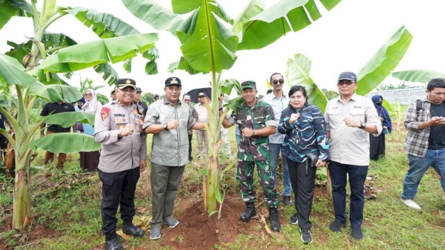 Pj Gubernur Sulsel Bahtiar Baharuddin, saat mengecek lahan pisang Cavendish Kodim 1409 Gowa, di Tamarunang, Kabupaten Gowa, Selasa (12/03/2024). (Istimewa)