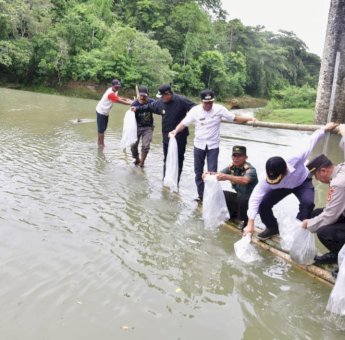 Hingga Hari Ini, Pemprov Sulsel Sudah Tebar 2,1 Juta Benih Ikan Air Tawar di Bone