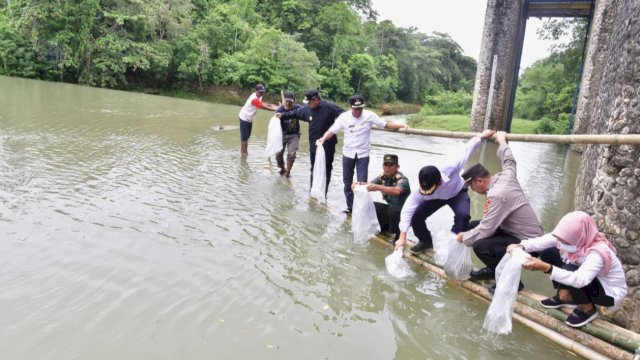 Hingga Hari Ini, Pemprov Sulsel Sudah Tebar 2,1 Juta Benih Ikan Air Tawar di Bone