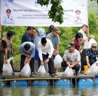Di Barru, Pj Gubernur Sulsel Tebar 200 Ribu Benih Ikan Nila