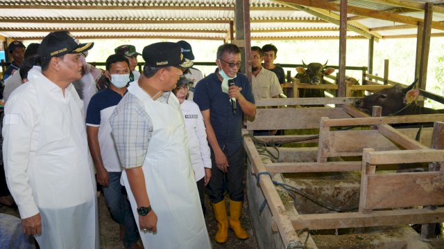 Pj Gubernur Sulsel Bahtiar Baharuddin, didampingi Bupati Barru Suardi Saleh, saat mengunjungi salah satu peternakan sapi di Barru, Jumat (22/03/2024). (Istimewa)