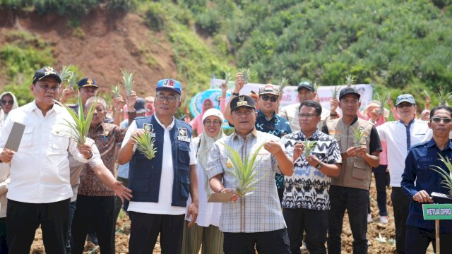 Pj Gubernur Sulsel Bahtiar Baharuddin, saat menanam nanas di salah satu perkebunan milik warga di Kabupaten Barru, Jumat (22/03/2024). (Istimewa)