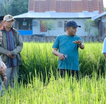 Junaedi Bakri Ajak Petani Jenepinto untuk Terus Berinovasi