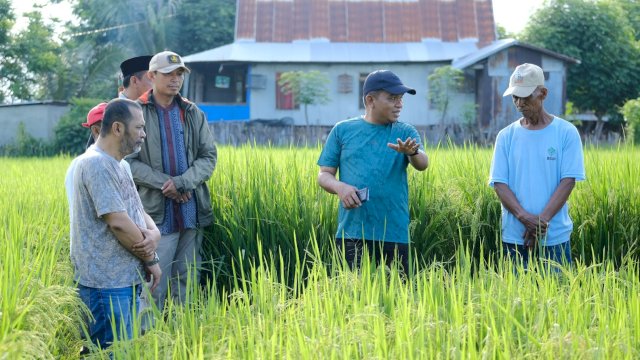PJ bupati Jeneponto Junaedi Bakri, saat mengunjungi penangkaran padi di Desa Kalumpangloe, Kecamatan Arungkeke, Minggu (31/03/2024). (Istimewa)