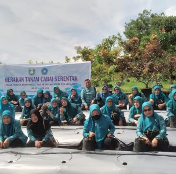 Tim Penggerak PKK Pemkot Parepare Laksanan Gerakan Tanam Cabai