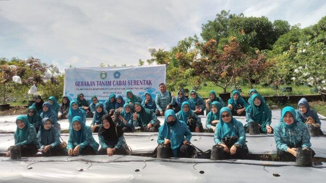 Tim Penggerak PKK Pemkot Parepare Laksanan Gerakan Tanam Cabai