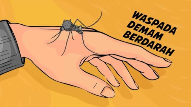 Ilustrasi Demam Berdarah. (Istimewa)