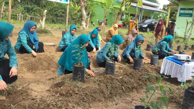 Tim Penggerak PKK Kabupaten Gowa bekerjasama dengan UPT Balai Penyuluh Pertanian (BPP) Barembeng, Kecamatan Bontonompo saat melakukan tanam cabai sebagai upaya dalam membantu pemerintah menekan laju inflasi. (Dok Humas Gowa)