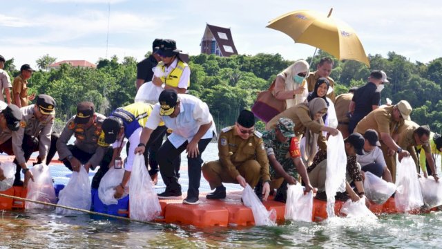 Pj Gubernur Sulsel Bahtiar Baharuddin, saat menebar benih ikan nila sebanyak 250 ribu di Bendungan Kalola dan Bendungan Paselloreng Kabupaten Wajo, Selasa (02/04/2024). (Istimewa)