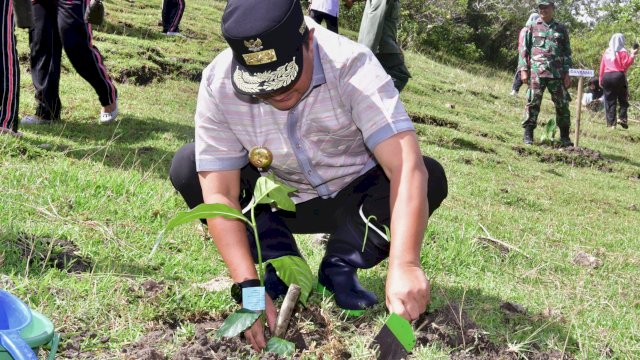 Pj Gubernur Sulsel Bahtiar Baharuddin, menanam pohon beberapa waktu lalu. (Istimewa)