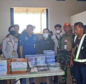 Penyelundupan Ratusan Ekor Reptil di Merauke Papua Selatan Digagalkan