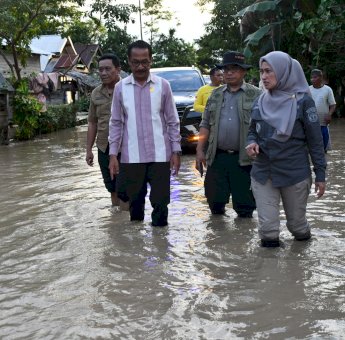 Indah Putri Indriani Tinjau Beberapa Wilayah Di Lutra Terdampak Banjir