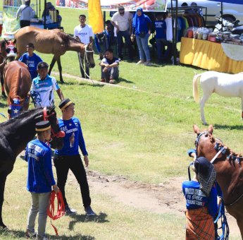 Hari Jadi Jeneponto ke 161, Pemkab Gelar Kontes Kuda Lokal
