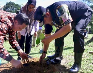 Selain Ikan Bandeng, Pangkep Diharapkan Jadi Penghasil Nangka Madu