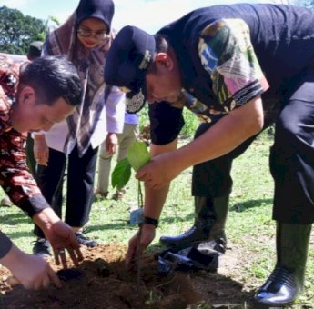 Selain Ikan Bandeng, Pangkep Diharapkan Jadi Penghasil Nangka Madu