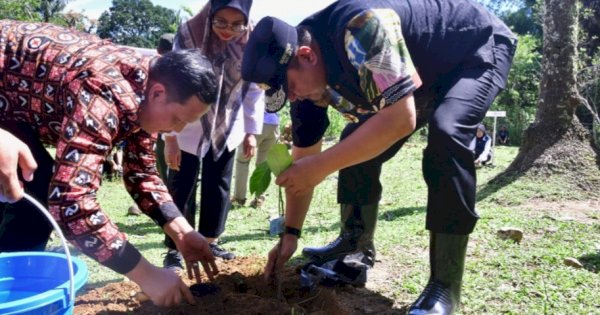 Selain Ikan Bandeng, Pangkep Diharapkan Jadi Penghasil Nangka Madu