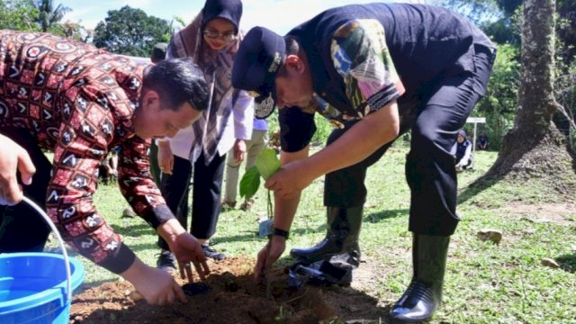 Pj Gubernur Sulsel Bahtiar Baharuddin, bersama Bupati Pangkep Muhammad Yusran Lologau, melakukan penanaman nangka madu di Kelurahan Balleang, Kecamatan Balloci, Rabu (28/02/2024). (Istimewa)